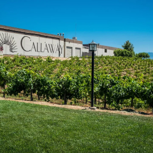 A view of Callaway Vineyard & Winery from Rancho California Road Temecula