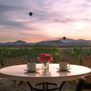 Stunning vineyard settings at Carter Estates Winer & Resort Temecula