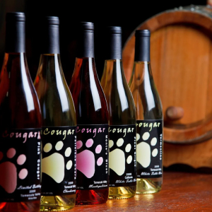 Award Winning wines at Cougar Vineyard & Winery Temecula