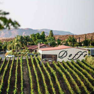 Doffo Winery Vineyard Temecula California