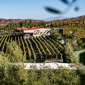 Doffo Tasting Room view Temecula