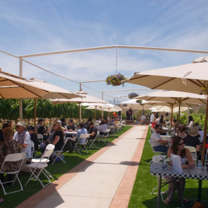 The outside patio area at Doffo Winery Temecula
