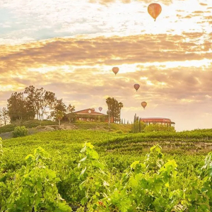 Falkner Winery Temecula California