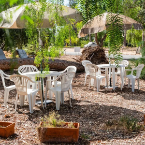Kid and Family friendly casual atmosphere at Foot Path Winery in Temecula