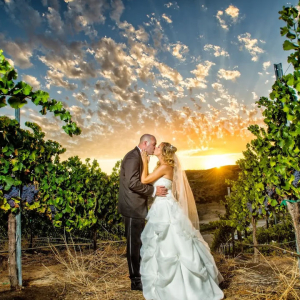 Spectacular Vineyard setting at Gershon Bachus Vinters Temecula
