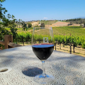 POV enjoying a glass of wine at Halter Ranch Winery in Temecula