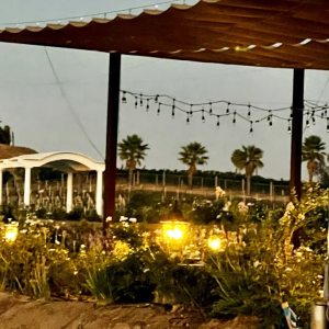 Sunset at Julie's Dream Winery Vineyards in Temecula