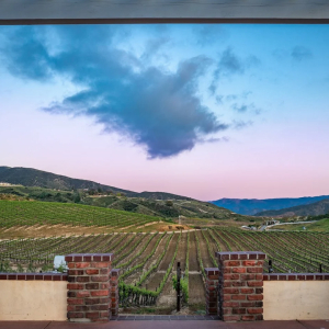 Stunning views from the back of Leonesse Cellars in Temecula