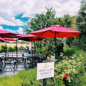 Wine Club Terrace at Lorenzi Estate Vineyards & Winery Temecula