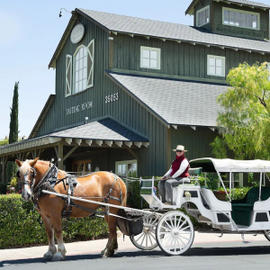 Iconic horse and buggy at Ponte Winery Temecula