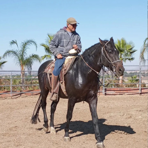 Horse arena at Raul Ramirez Winery in Temecula