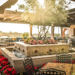 Modern grounds at Truffle Pig Winery Temecula