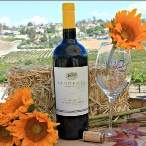 Fall Wine Tasting at Vindemia Vineyards & Winery Temecula