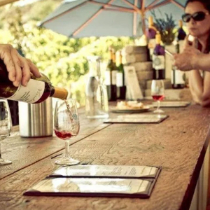 Relaxed Tasting Bar Vibes at Vindemia Vineyards & Winery Temecula