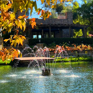 The iconic pond on the grounds of Vitagliano Vineyards & Winery Temecula
