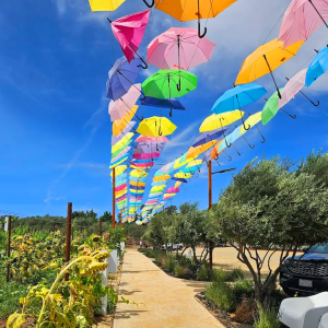 Unique Umbrella overhang at Alex by Poggio Leano Winery in Temecula